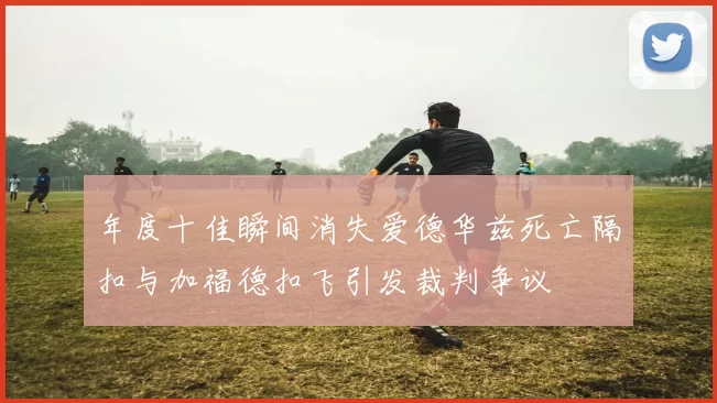 年度十佳瞬间消失爱德华兹死亡隔扣与加福德扣飞引发裁判争议