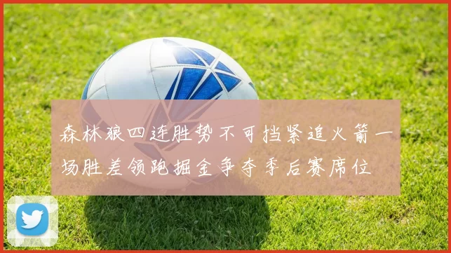 森林狼四连胜势不可挡紧追火箭一场胜差领跑掘金争夺季后赛席位